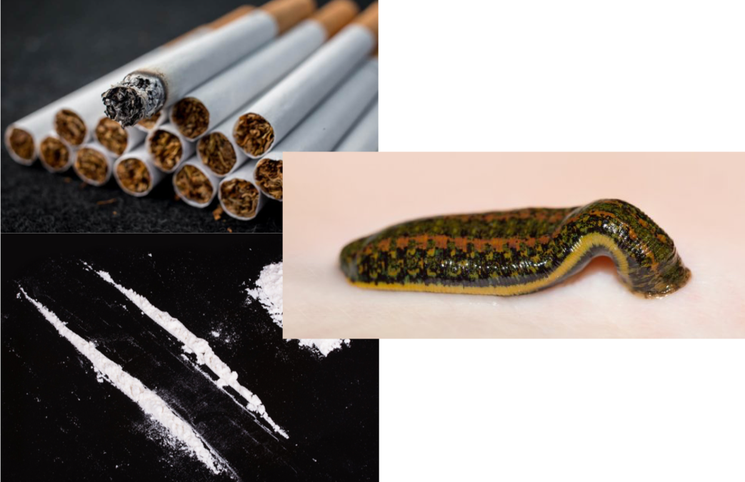 Tobacco, Leeches, & Cocaine