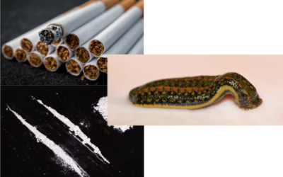 Tobacco, Leeches, & Cocaine